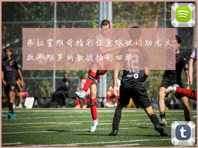 弗拉霍维奇精彩任意球破门助尤文扳平维罗纳激战精彩回顾